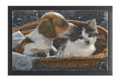 Produktbild von Fussmatte Schmutzfangmatte Animals Hund und Katze Braun Weiß 40x60 cm