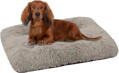 Produktbild von Domarex  Flauschiges Hundebett, Katzenbett und Weiches  für Hunde und Katzen - 70x50 cm Hundekissen, Bequemes und Pflegeleichtes - beige
