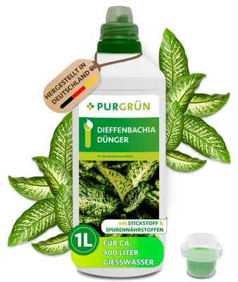 Produktbild von Purgrün Dieffenbachia-Dünger 1 Liter