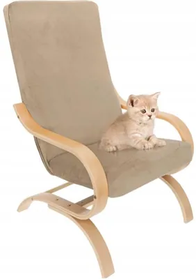 Produktbild von Sesselbezug Stretch - Husse für Schwingsessel - Cappuccino Beige - Samt - Passend für Poäng Sessel