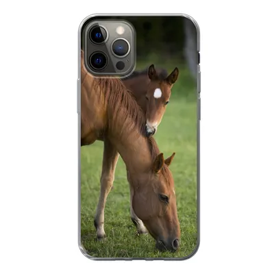 Produktbild von MuchoWow® Handyhülle Schutzhülle Hülle für iPhone 13 Pro Pferde - Gras - Porträt Silikon Softcase Handy Hülle - Handy-Tasche