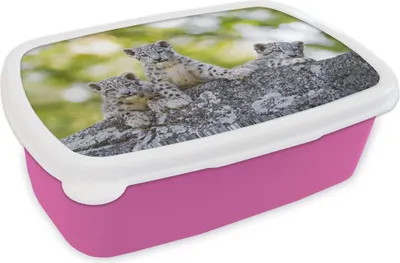Obrázok produktu pre KitchenYeah® Lunchbox Box na obed 17x11 cm Leopard - Mláďatá - Kamene Detský obedový box - Sendvičový box - Box na chlieb - Sendvičový box