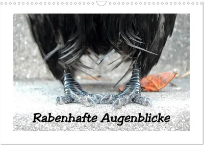 Produktbild von Rabenhafte Augenblicke (Wandkalender 2026 DIN A3 quer), CALVENDO Monatskalender