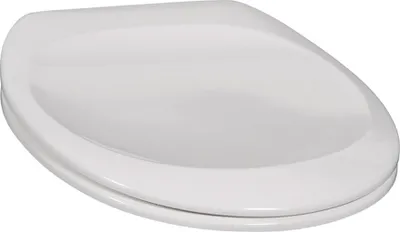 Produktbild von Villeroy & Boch V&B WC-Sitz GRANGRACIA Scharn vc we alpin