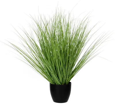 Produktbild von Mica Decorations Gras Kunstpflanze - H68 cm - Grün