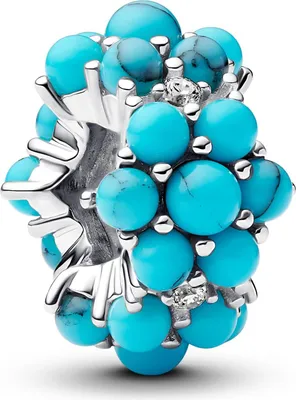 A close-up studio shot of a Pandora charm.