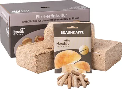 Produktbild von Pilzzuchtset Braunkappe | Pilzzucht von Hawlik Pilzbrut