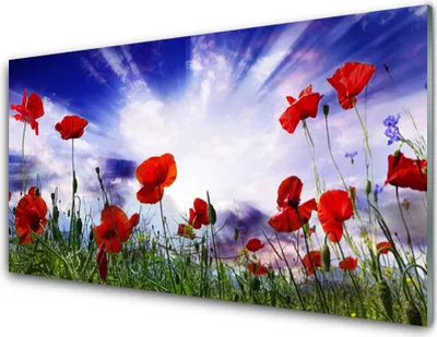 Imagen del producto de Impresiones en acrílico, tamaño 100x50 cm, para colgar en la pared, con motivos de amapolas y naturaleza