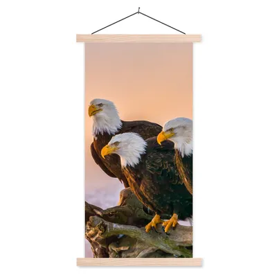 Produktbild von MuchoWow® Textilposter Vögel - Natur - Raubvögel - Adler 60x120 cm mit holzfarbenen Rahmen - Holz