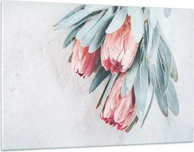Produktbild von Bilder auf glas - Einteilig - Blume Eukalyptus Australier - 120x80cm - Glasbilder - Wandbilder - Bilder - Wanddekoration aus Glas - Glas Bilder - Wandbild auf Glas - GAA120x80-5016