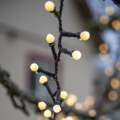 A close-up of a string of warm white LED lights with water droplets on them, attached to a dark, twisted wire, hanging from a tree branch.
