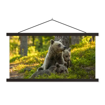 Produktbild von MuchoWow® Textilposter Bär - Braun - Wald 90x45 cm mit schwarzem Rahmen - Klemmleisten