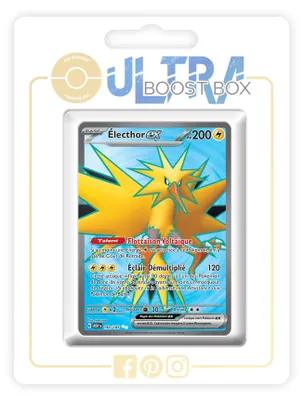 Pokémon-Kartenbox – 10 franz. Karten, Électhor ex 192/165
