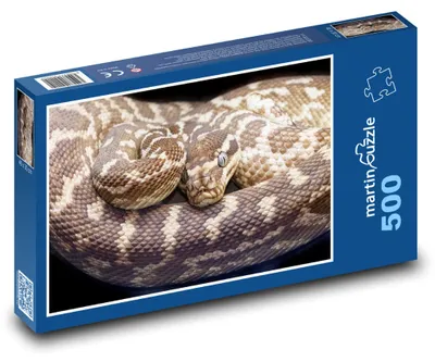 Obrázek produktu pro martinpuzzle - Puzzle 500 - Krajta - had