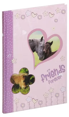 Produktbild von Pagna Freundebuch Fohlen 60S 4009212052728