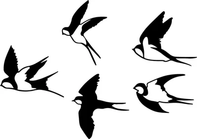 Produktbild von Vogel-Wanddekoration Metall, 5 Stück, schwarze Vögel, Außenbereich, dekorative Wandskulptur