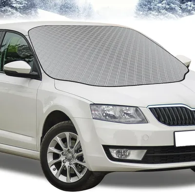 Productafbeelding van Windschermbeschermer - Magnetische windschermbeschermer voor de winter