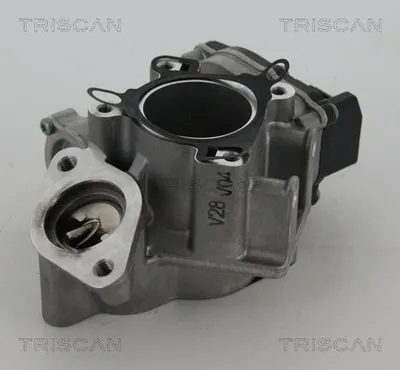 Produktbild von TRISCAN 8813 24039 AGR-Ventil mit Dichtungen für NISSAN Qashqai / Qashqai +2 I (J10, NJ10) Abgasrückführungsventil