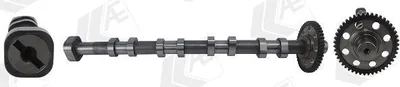 Produktbild von AE CAM1040 Nockenwelle Auslass für VW GOLF VI (5K1) Golf V Schrägheck (1K1) TIGUAN (5N) für AUDI A4 Avant (8K5, B8) A6 Avant (4G5, 4GD, C7)