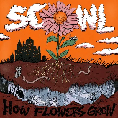 Produktbild von How Flowers Grow