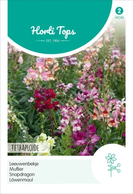 Produktbild von Löwenmaul Tetra Mischung | Löwenmaulsamen von Hortitops