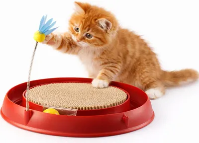 Zdjęcie produktu dla Tor Catit Play'n Scratch z drapakiem | zabawka dla kota | 4 x 36 x 39,5 cm | czerwony