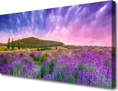 Produktbild von Tulup Leinwand-Bilder 100x50 Wandbild Canvas Kunstdruck Wiese Blumen Gebirge Natur