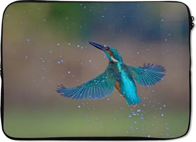 Produktbild von MuchoWow® Laptop Hülle 14 ZollEisvogel - Fliegen - Blau Laptoptasche - Laptoptasche - Stoßsicher - Schutzhaube