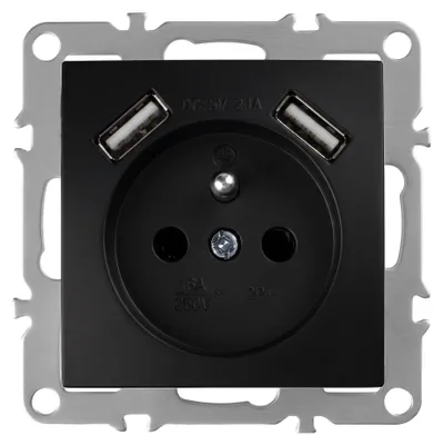 Immagine prodotto di Presa Singola Con Messa A Terra Toolight Jnh003-G + 2X Usb-A Black