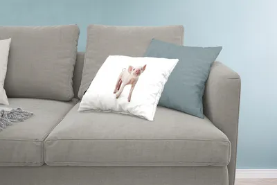 Produktbild von MuchoWow® Zierkissen Sofakissen Wohnzimmer Dekokissen 60x40 cm Schwein - Tiere - Weiß - Kopfkissen - Polster mit Foto