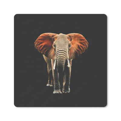 Produktbild von MuchoWow® Mauspad Mousepad Elefant - Tiere - Zähne 30x30 cm - Mousepads - Maus Mat - Pad - Mausunterlage - Gaming