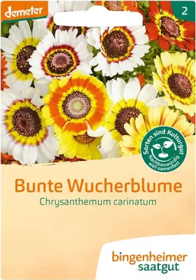 Immagine prodotto di Rampichino variegato - Chrysantenum carinatum