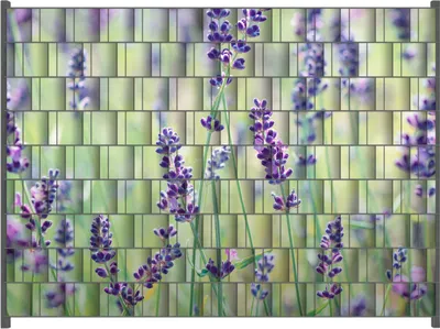 Produktbild von Wallario Zaunsichtschutz mit Motiv Lila Blumenfreude - Violette Pflanzen auf der Wiese für Ein- und Doppelstabmatten Zäune in der Größe 250 x 180 cm