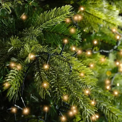 Produktbild von Kaemingk Lumineo Lichterkette Compact 3000 LED klassisch warma außen 60 m grün