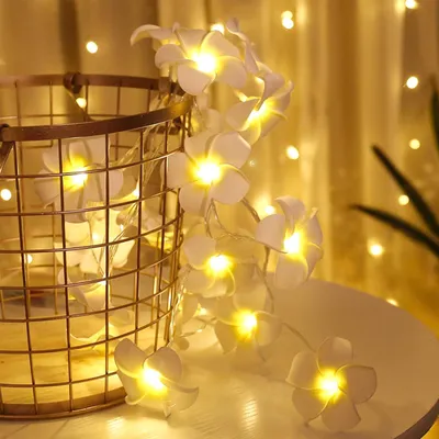 Plumeria-Lichterkette, 1,5 m, 10 LEDs, Frangipani, batteriebetrieben