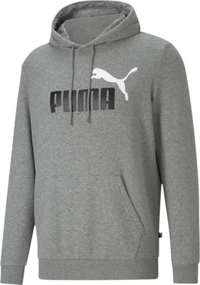 Produktbild von PUMA Ess+ Metallic 2 Col Big Logo Terry-Hoodie medium gray heather S