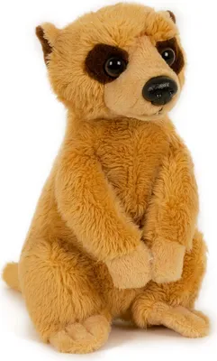 Produktbild von Plüschtier Erdmännchen,  13 cm Stofftier Kuscheltier Softplüsch Erdmann