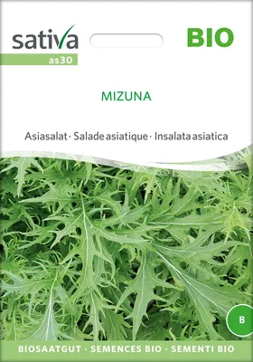 Artikelbild 1 von 'BIO Asiasalat Mizuna' aus der Kategorie Asiasalatsamen