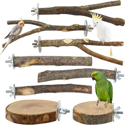 Imagen del producto de Perchas para pájaros - 8 unidades - madera - para periquitos, canarios y loros