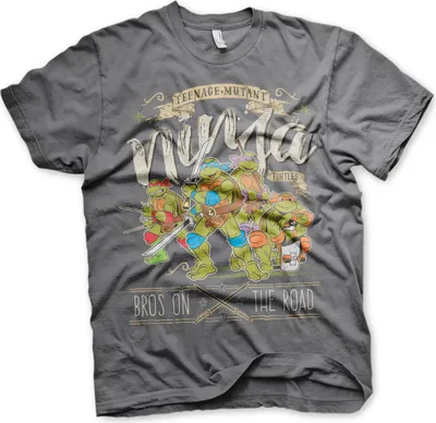 Produktbild von TMNT - Bros On The Road T-Shirt - Small - DarkGrey