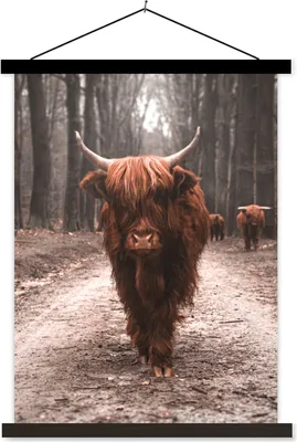 Produktbild von MuchoWow® Textilposter Schottisches Hochlandrind - Wald - Kuh - Tiere - Natur 90x120 cm mit schwarzem Rahmen - Dekoration