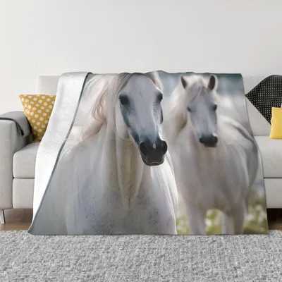 Image de Couverture en polaire douce pour toutes les saisons