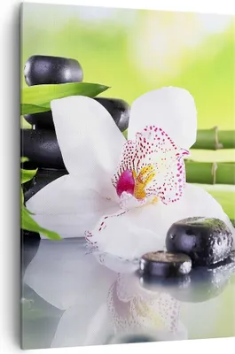 Produktbild von Bild auf Leinwand - Leinwandbild - Einteilig - blume orchidee - 70x100cm - Wand Bild - Wanddeko - Wandbilder - Leinwanddruck - Kunstdruck - Wanddekoration - Leinwand bilder - Wandbild - PA70x100-3659