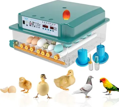 Obrázek produktu pro Inkubátor Plně automatický kuřecí inkubátor Farmářský inkubátor Slepice 16 vajec Inkubátory