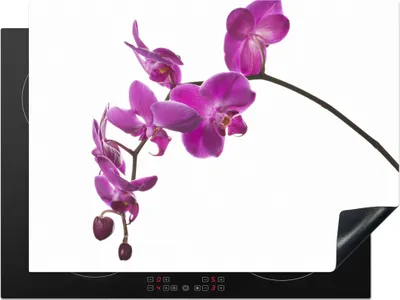 Produktbild von KitchenYeah© Herdabdeckplatte Orchidee vor weißem Hintergrund , 71x52cm, Küche Deko, Glaskeramikkochfeld Herdabdeckung, Abdeckplatte fùr Kochfeld