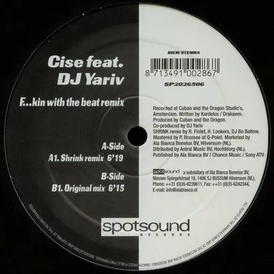 Image de F...kin With The Beat Remix