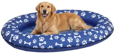 Produktbild von PawHut Aufblasbares Schlauchboot Hunde Faltbare Schwimmende Wassermatte Hund