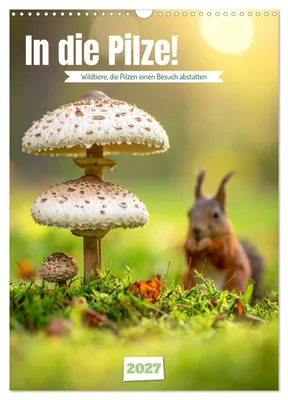 Produktbild von In die Pilze (Wandkalender 2027 DIN A3 hoch), CALVENDO Monatskalender
