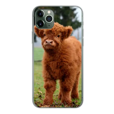 Produktbild von MuchoWow® Handyhülle Schutzhülle Hülle für iPhone 11 Pro Max Scottish Highlander - Kalb - Gras Silikon Softcase Handy Hülle - Schutz