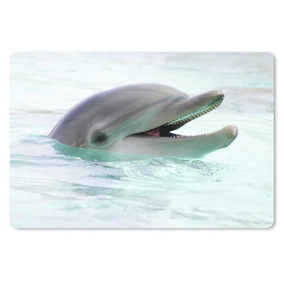 Produktbild von MuchoWow® Mauspad Mousepad Delfin - Wasser - Meer 27x18 cm - Mousepads - Maus Mat - Pad - Mausunterlage - Büroartikel - Desk Matten
